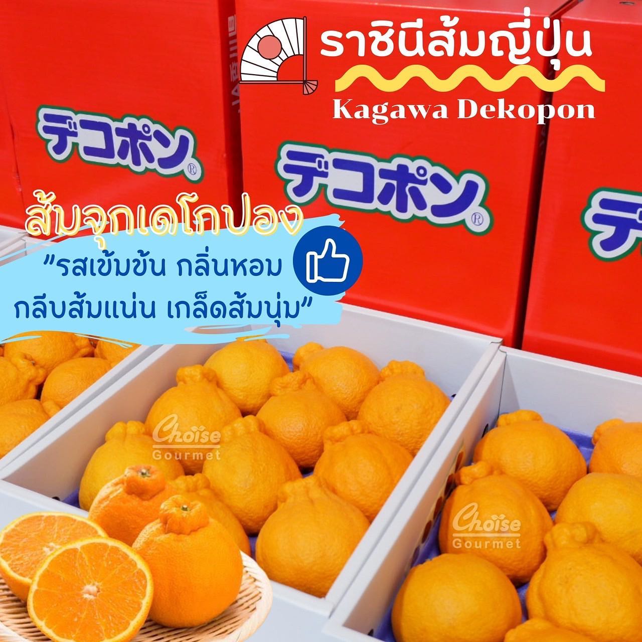 Kagawa Dekopon (Gift Box 3kg)