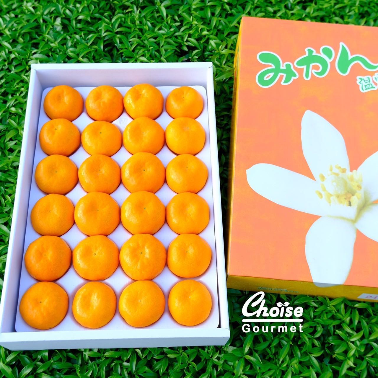 Japanese Orange Archives - Choise Gourmet